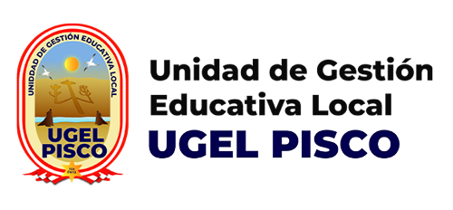 ugel-pisco 2